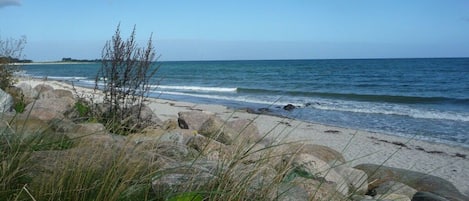 A beach with rocks and vegetation in the foreground, and a clear view of the ocean.