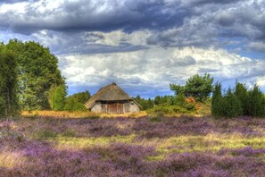 A rustic thatched-roof building surrounded by purple heather fields and dense trees under a cloudy sky. - Holiday home with 2 bedrooms (Schneverdingen)