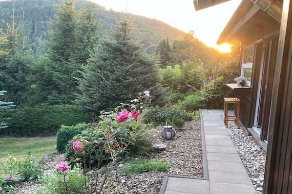 A pathway leading to a building with a view of a forested hillside. - Holiday home with 3 bedrooms (Winterberg)