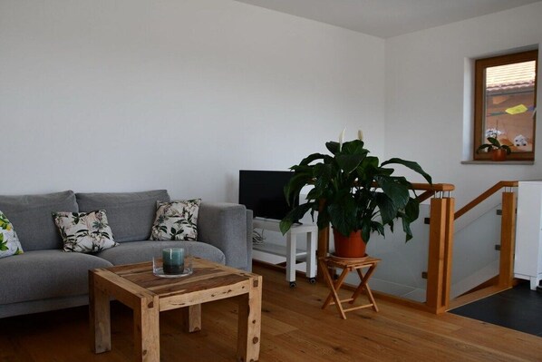 A living room with a grey sofa, a wooden coffee table, a large potted plant, a television, and a white side table. - New 2-room holiday apartment in Murnauer Moos (Schwaigen)