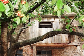 A rustic wooden structure with a window, surrounded by trees and foliage. - Holiday apartment with 1 bedroom (Michendorf)