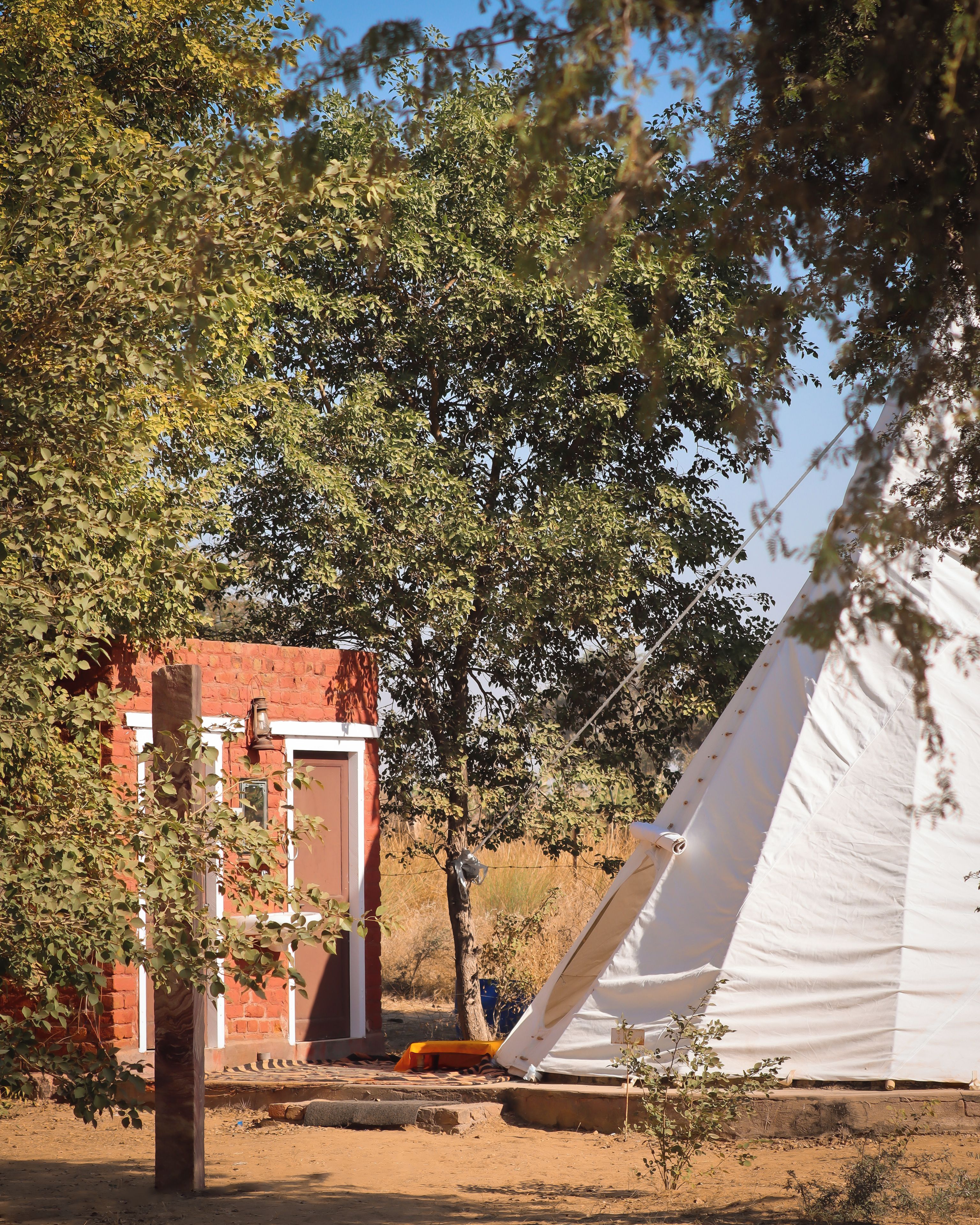 A tent and a brick building with a door, surrounded by trees and dry grass.