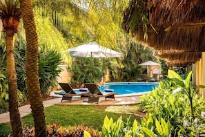 Un área de piscina con sillas de descanso y sombrillas, rodeada de plantas tropicales y palmeras.