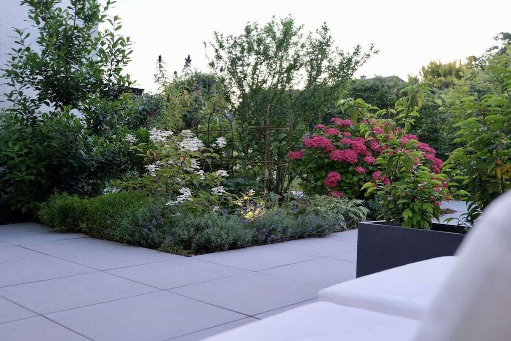 Un jardín con diversas plantas y una estructura de enrejado.