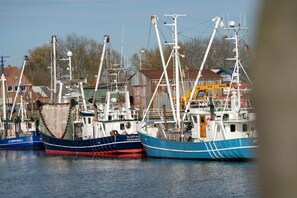 Ein Hafen mit mehreren vor Anker liegenden Fischerbooten, umgeben von Gebäuden und einem klaren Himmel.