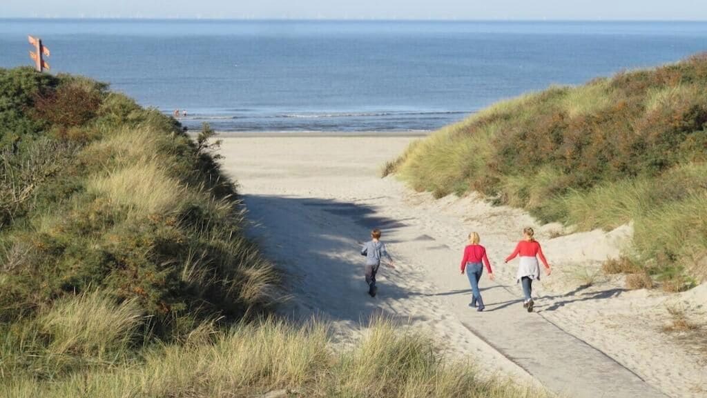 A pathway leading to a beach with grassy banks on either side.