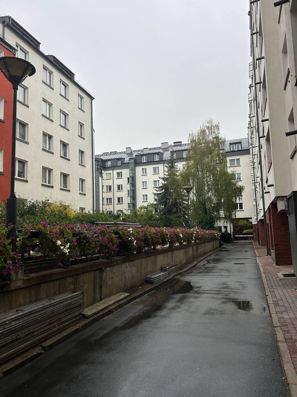 Rua residencial com edifícios altos, barreira de concreto com flores e via molhada.