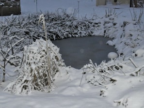 Un'area esterna innevata con una struttura circolare in pietra, forse un pozzo o una fontana, circondata da cespugli e piante carichi di neve.