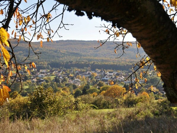 Une ville nichée dans une vallée, dont le clocher d’une église imposante se distingue au loin.