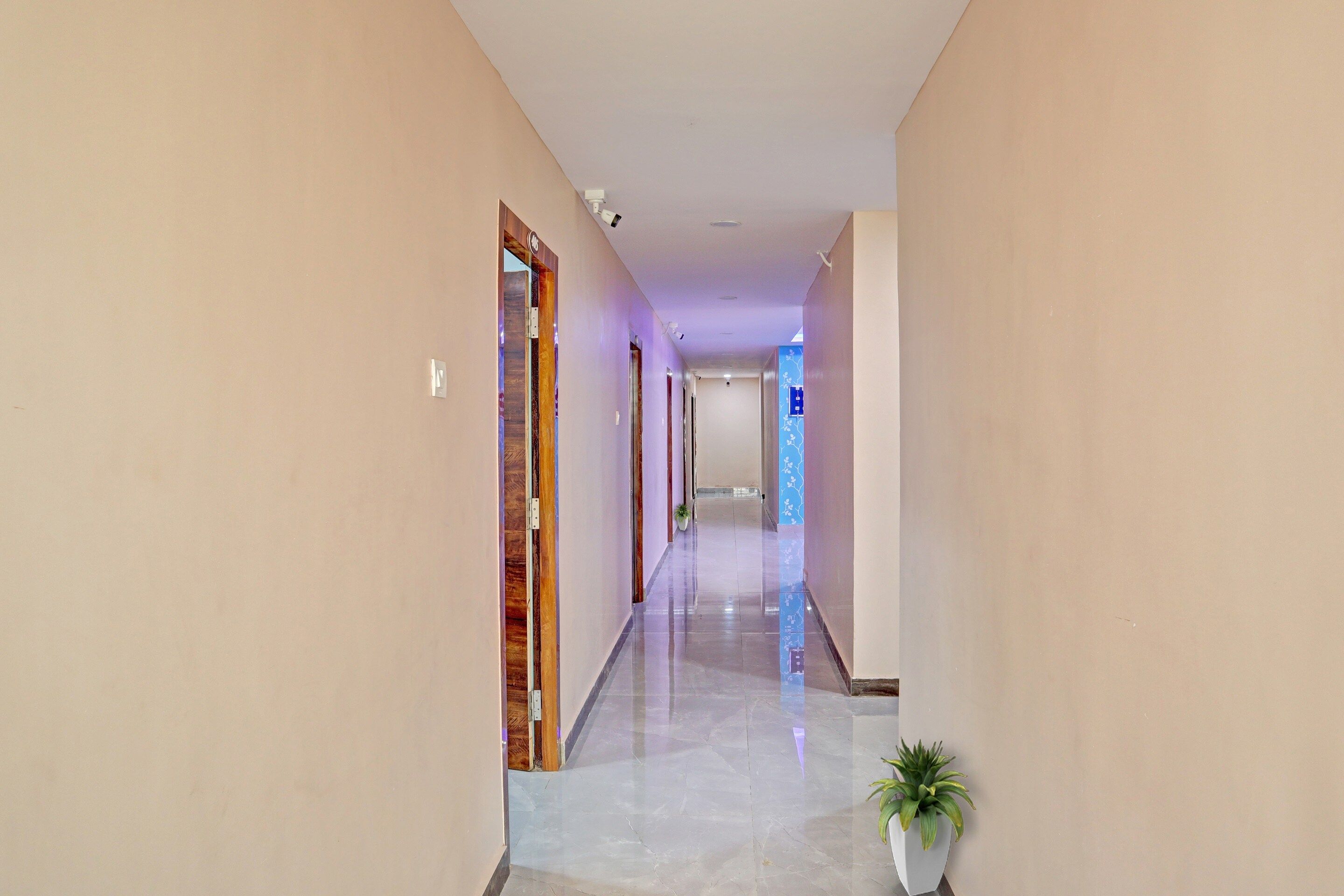 A hallway with a wooden door frame, a potted plant, and a blue decorative wall panel.