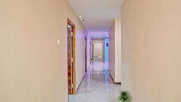 A hallway with a wooden door frame, a potted plant, and a blue decorative wall panel.
