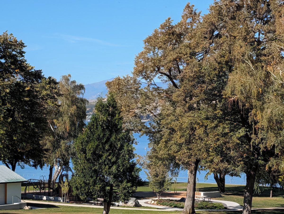 Un parque con árboles, un lago y un edificio con techo verde.