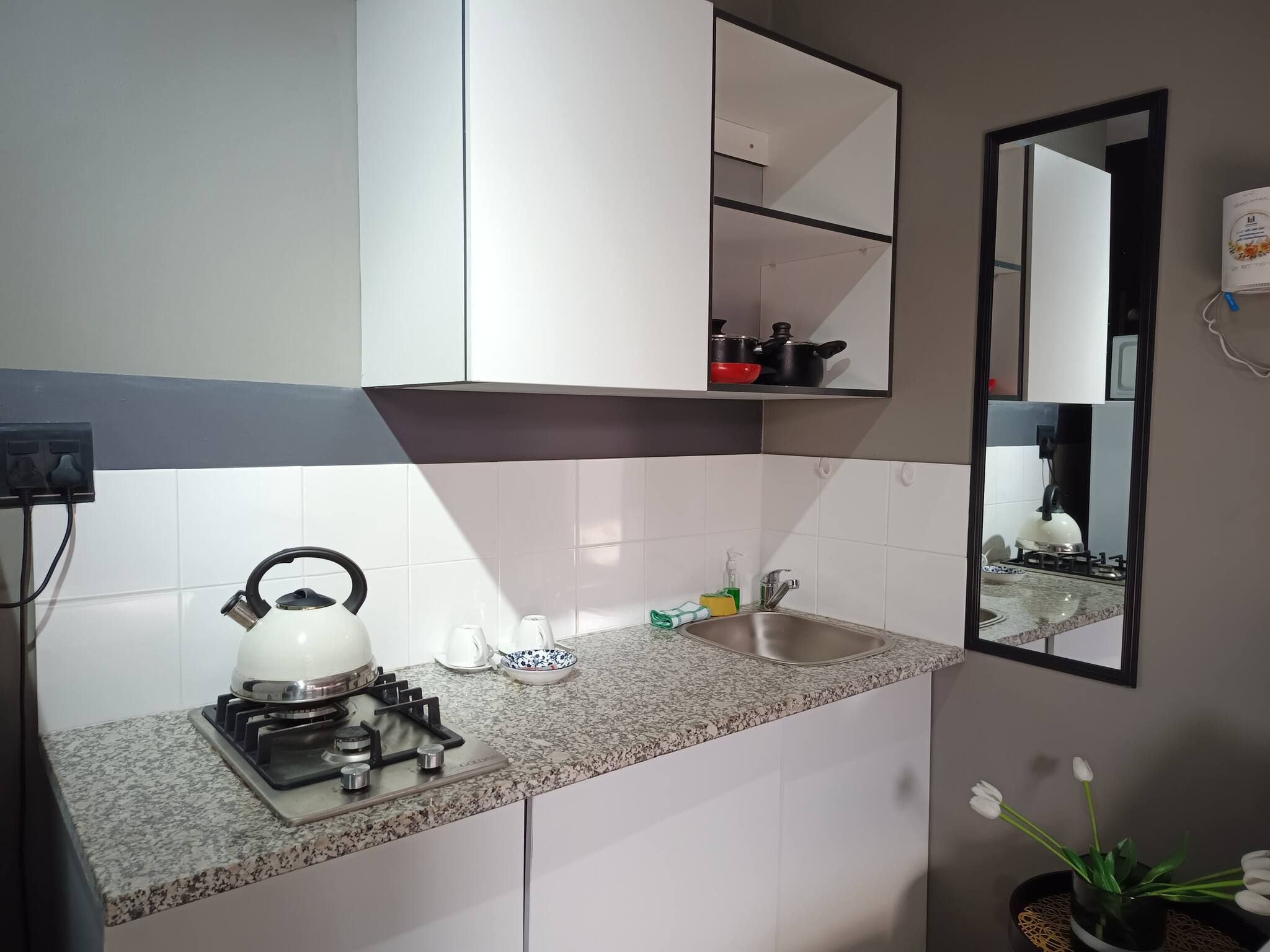 Una cocina con estufa a gas, un lavamanos, un espejo y una planta en maceta.