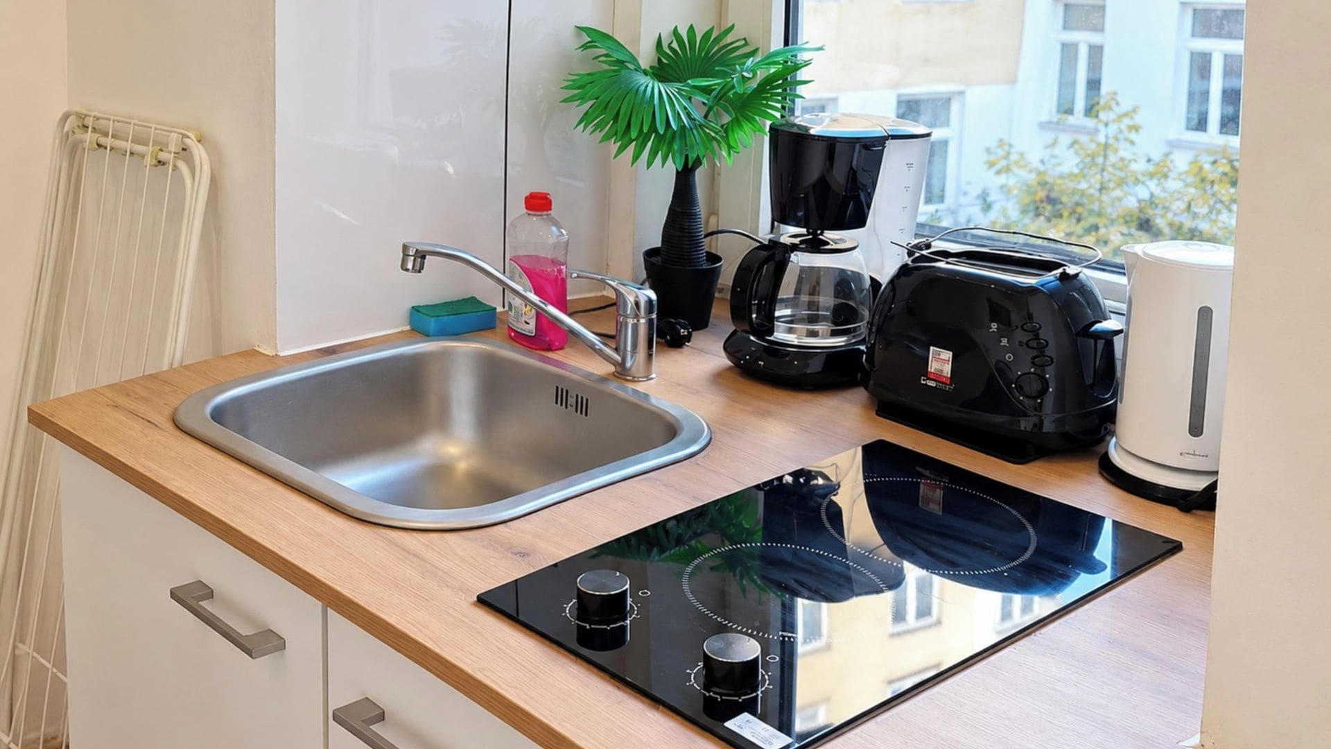 A modern kitchen with a stainless steel sink, a black induction cooktop, a coffee maker, a toaster, and a potted plant.