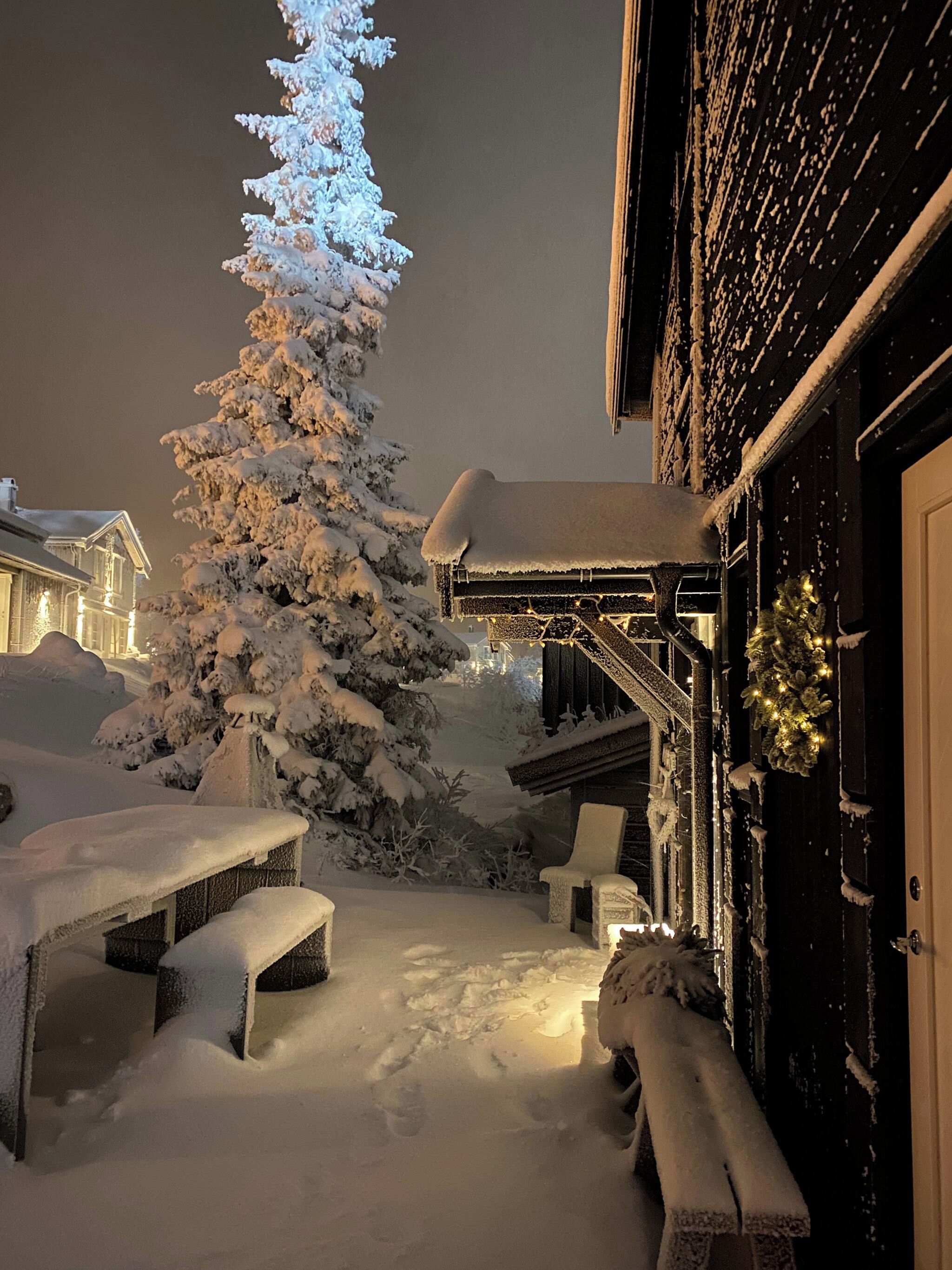 Área externa coberta por neve, com um prédio de madeira, uma árvore com neve e um banco.
