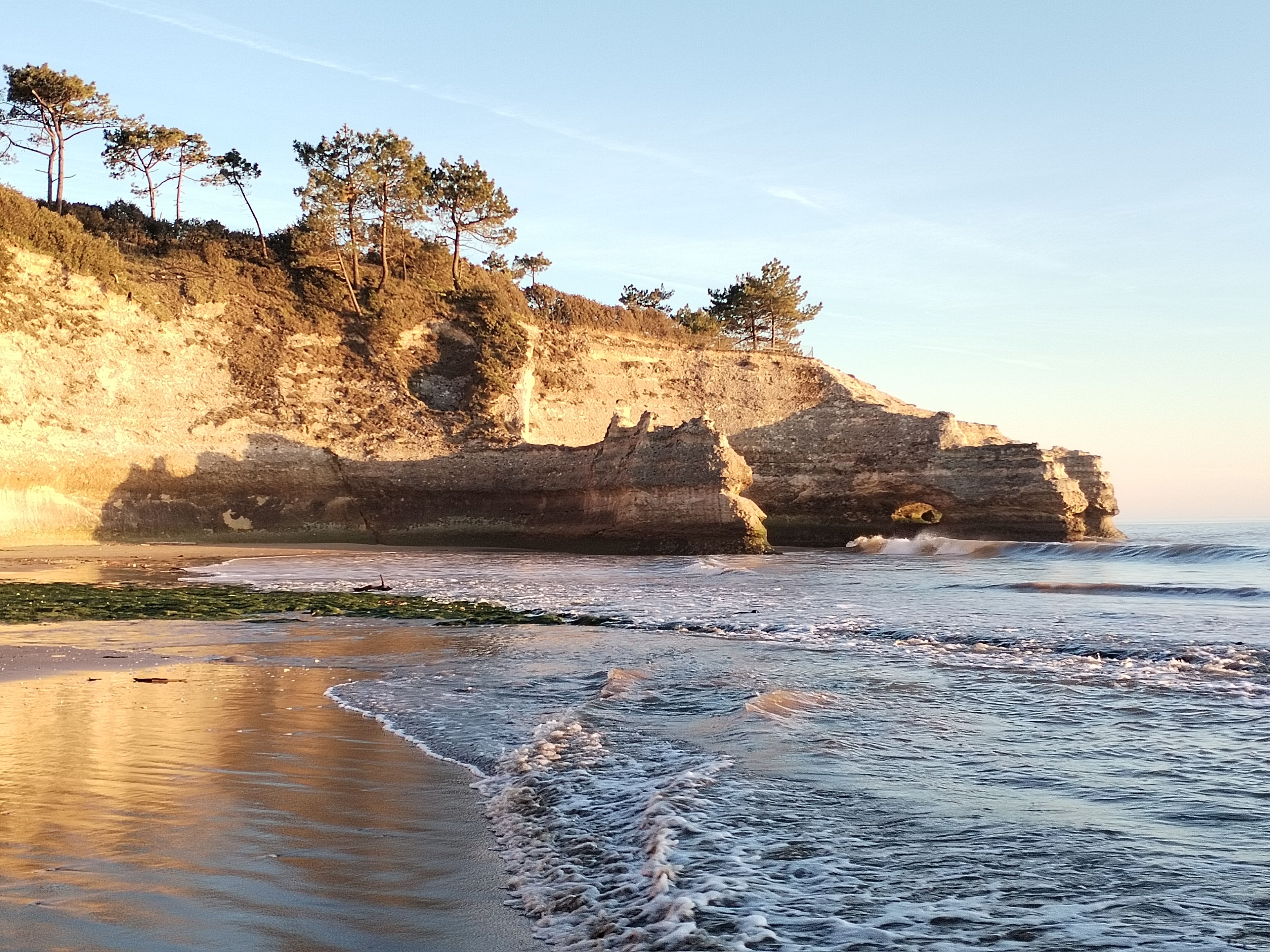 A coastal landscape with cliffs and trees.