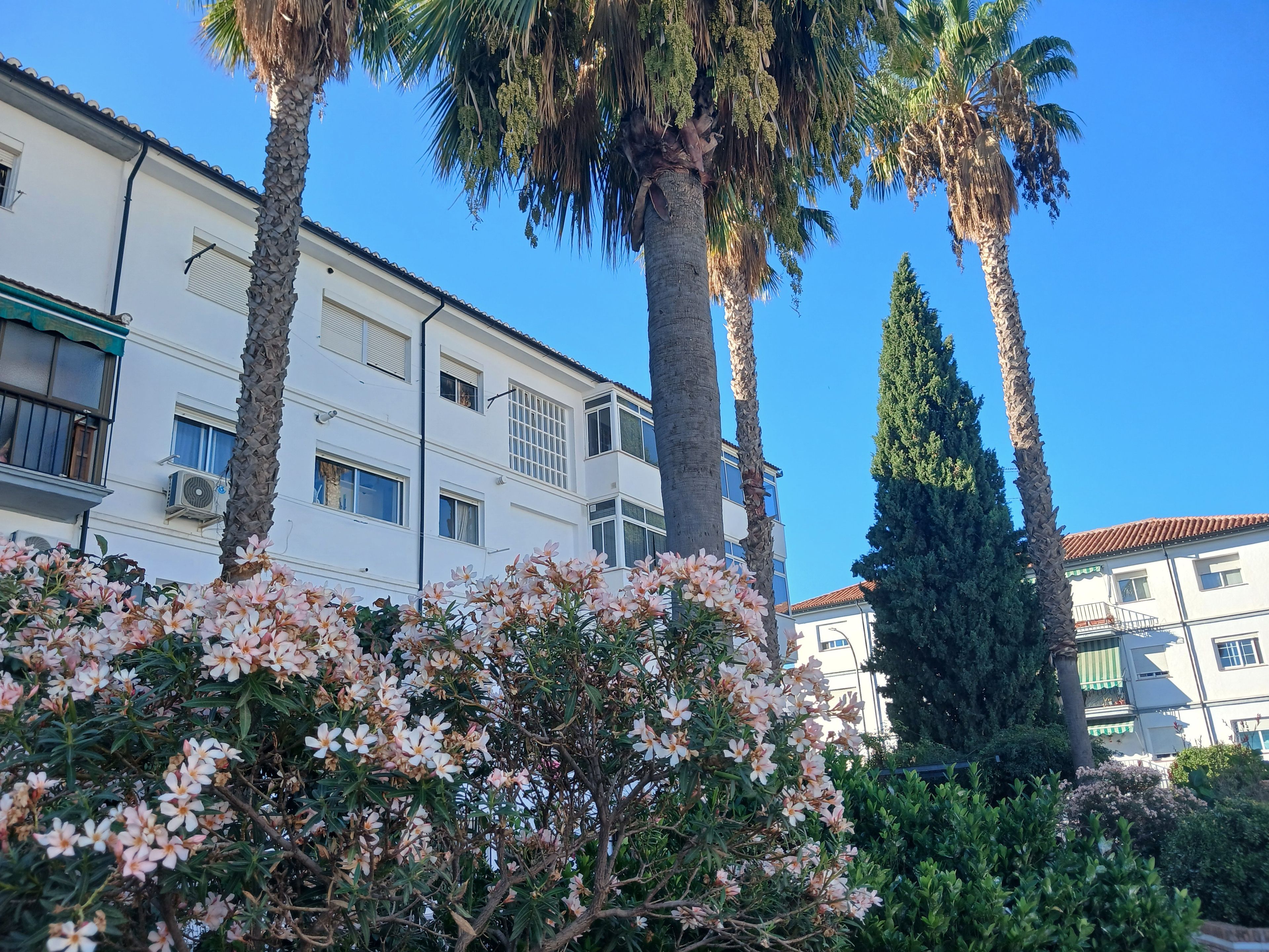 Un immeuble à plusieurs étages doté de balcons, entouré de palmiers et d’arbustes en fleurs.