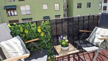Terras