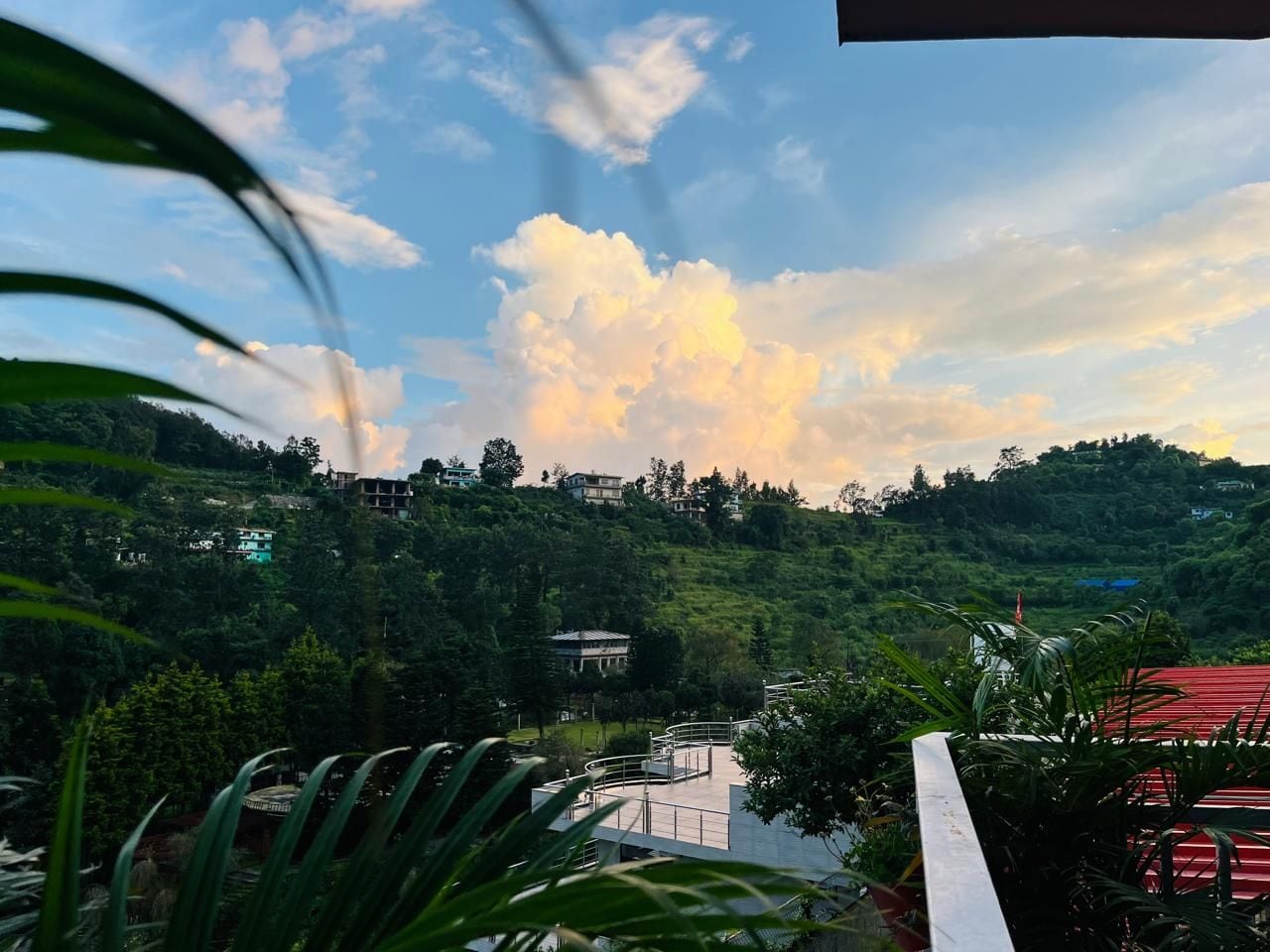 A view of a hillside with buildings and greenery.
