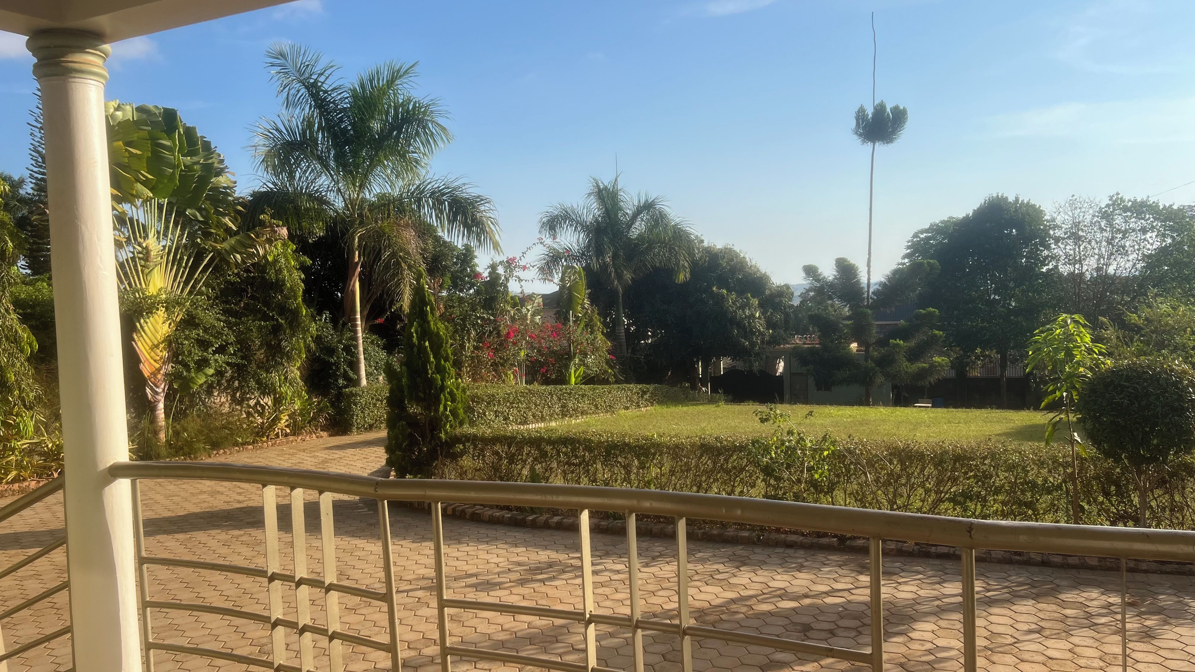 A paved pathway with a metal railing, surrounded by lush greenery and a clear sky.