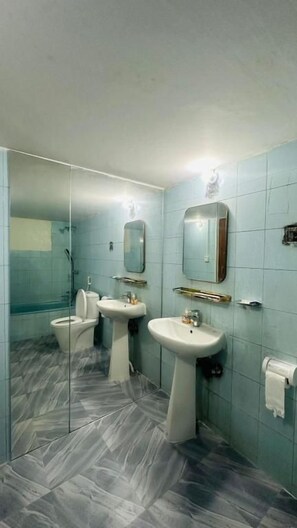 A bathroom with a glass shower enclosure, two sinks, and a toilet.