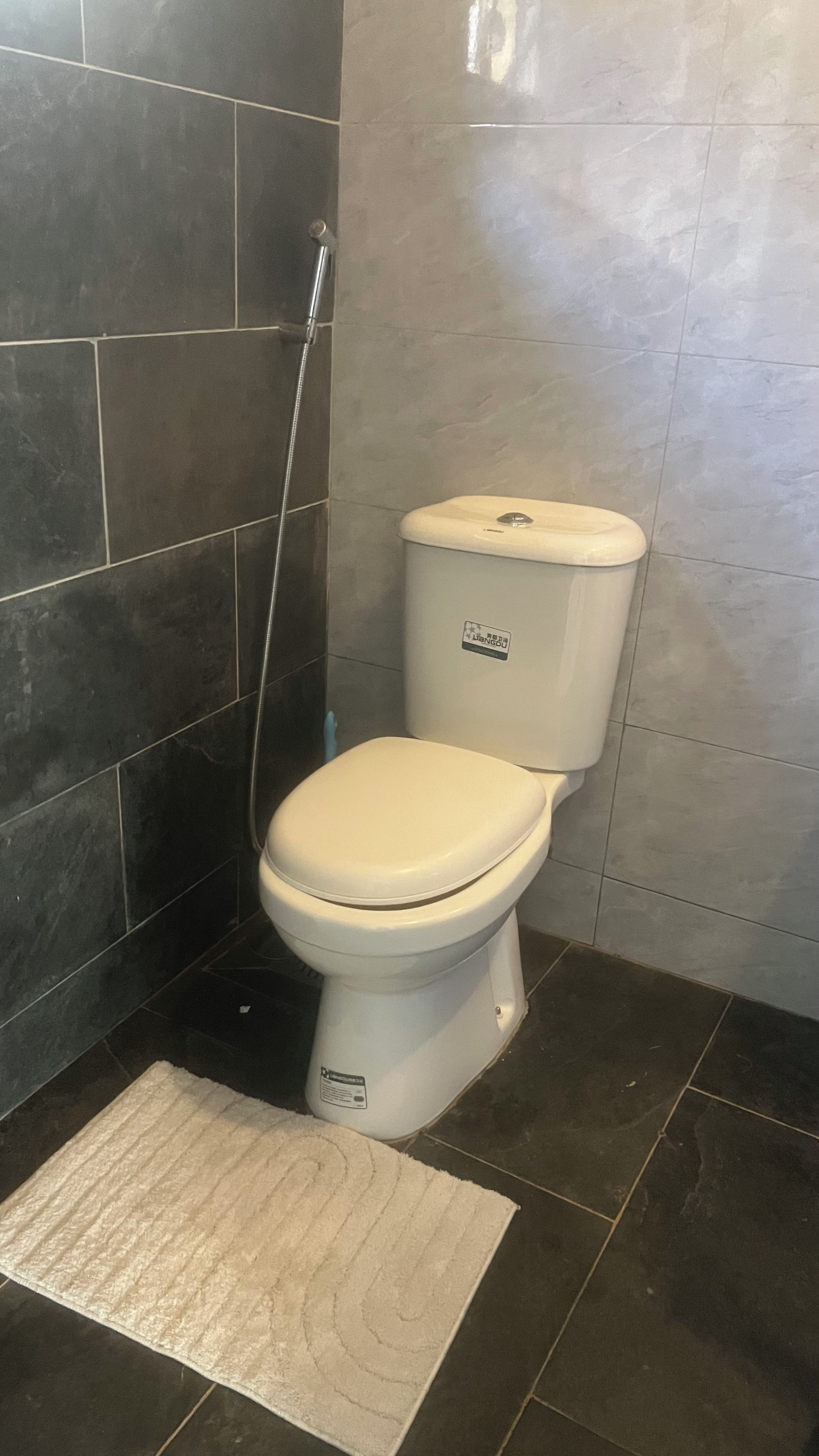Kylpyhuone, jossa on wc, suihku ja matto.