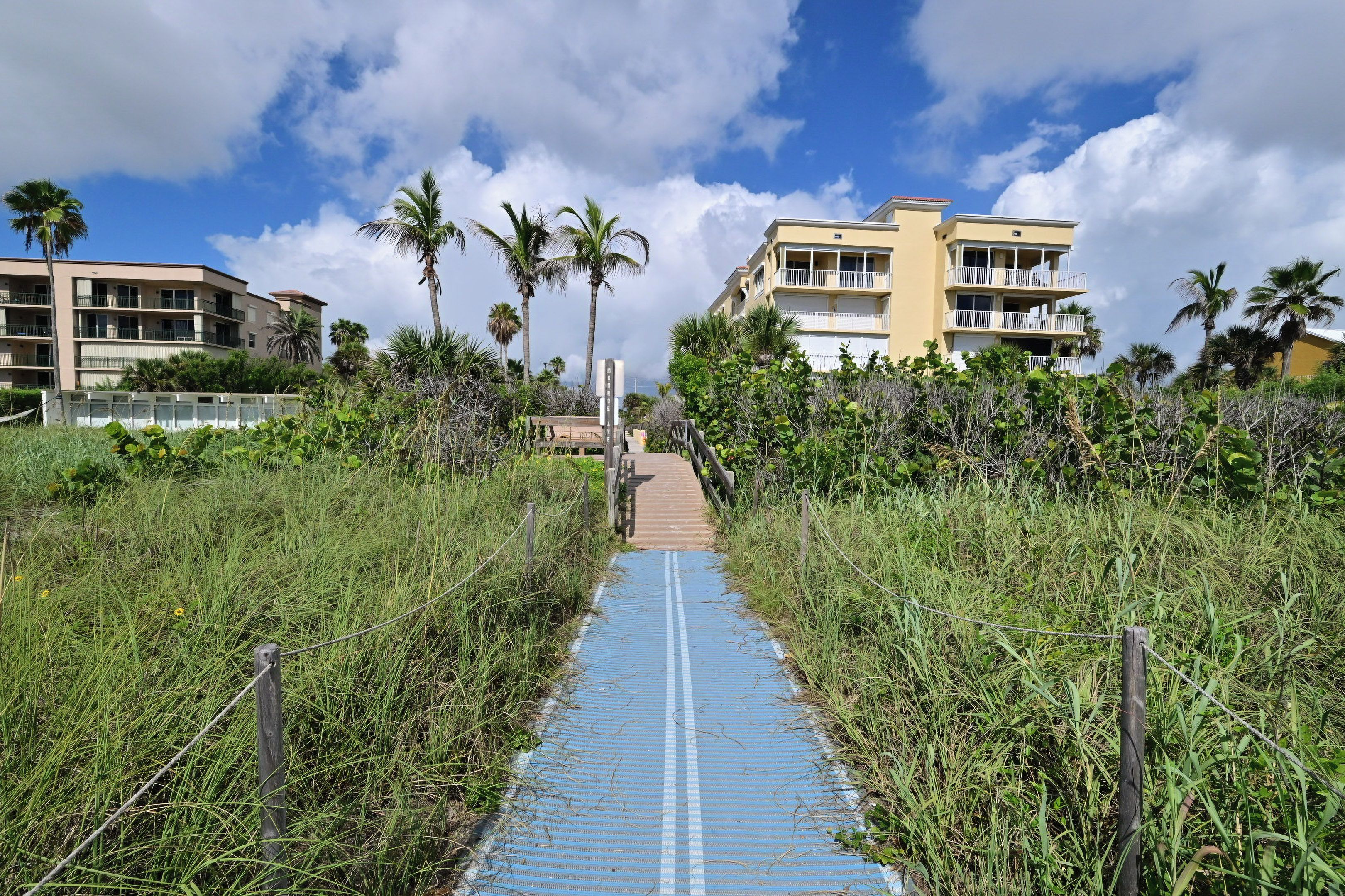 A pathway leading to a beachfront building with multiple balconies and palm trees.