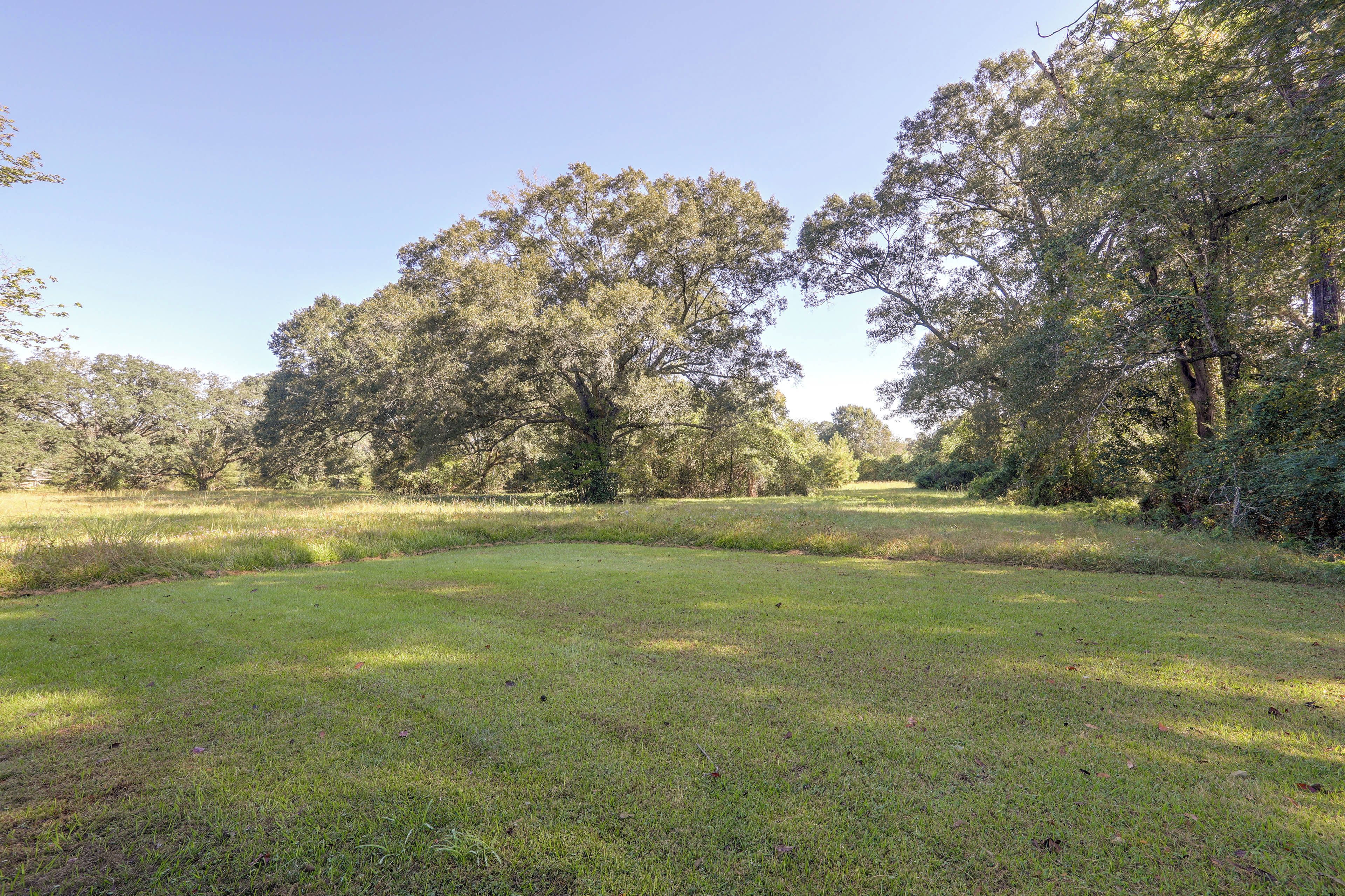 A grassy field with trees in the background.