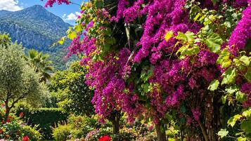 Un jardin orné de bougainvilliers, de rosiers et dominé par un paysage montagneux.