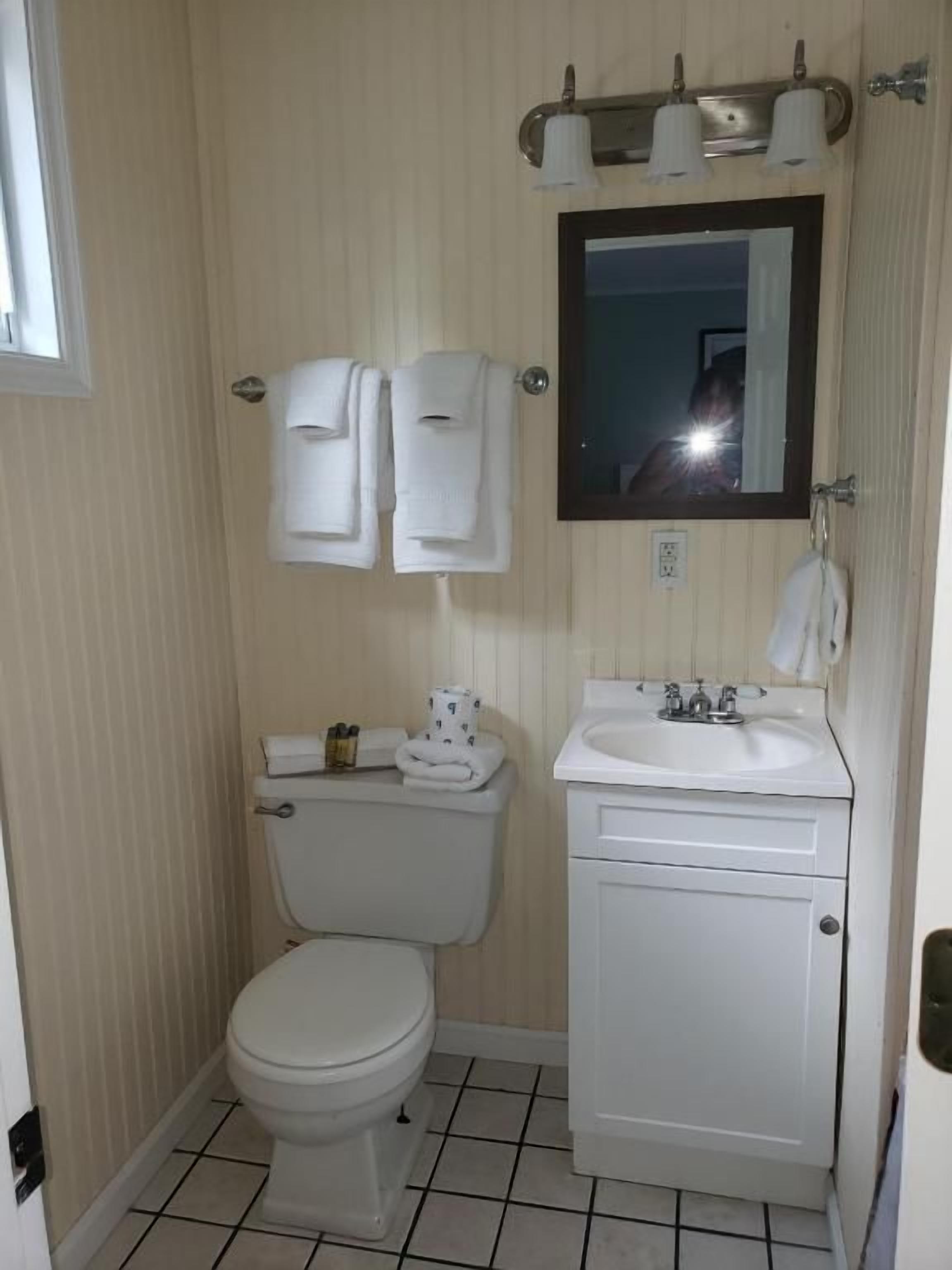 A small bathroom with a toilet, sink, and mirror.