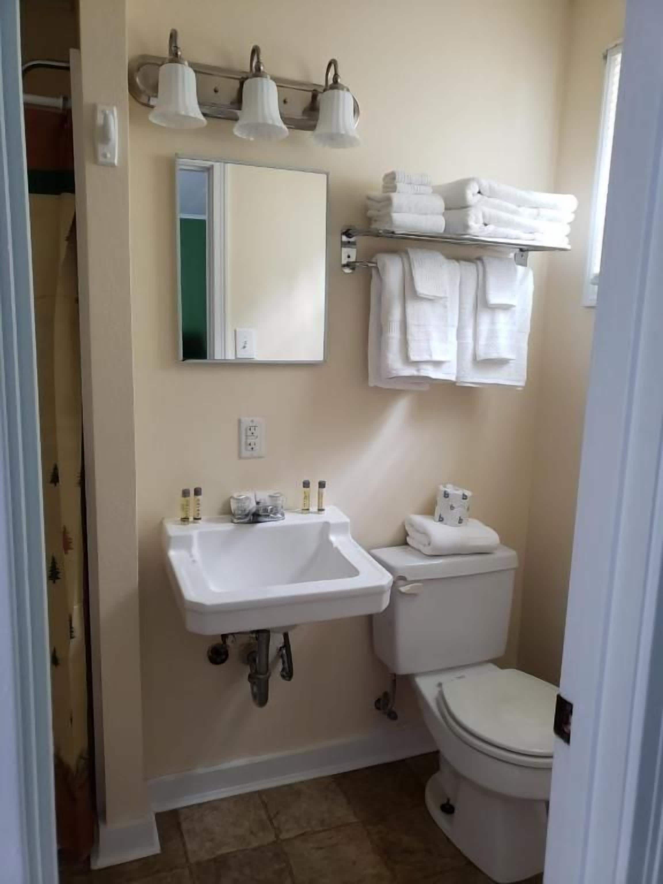 A bathroom with a sink, mirror, toilet, and towel rack.