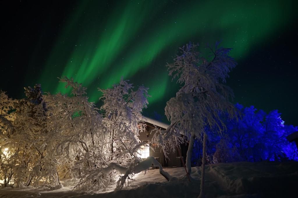 A snowy landscape with trees and a building under a night sky with green aurora borealis.