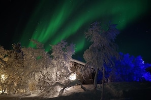 A snowy landscape with trees and a building under a night sky with green aurora borealis.