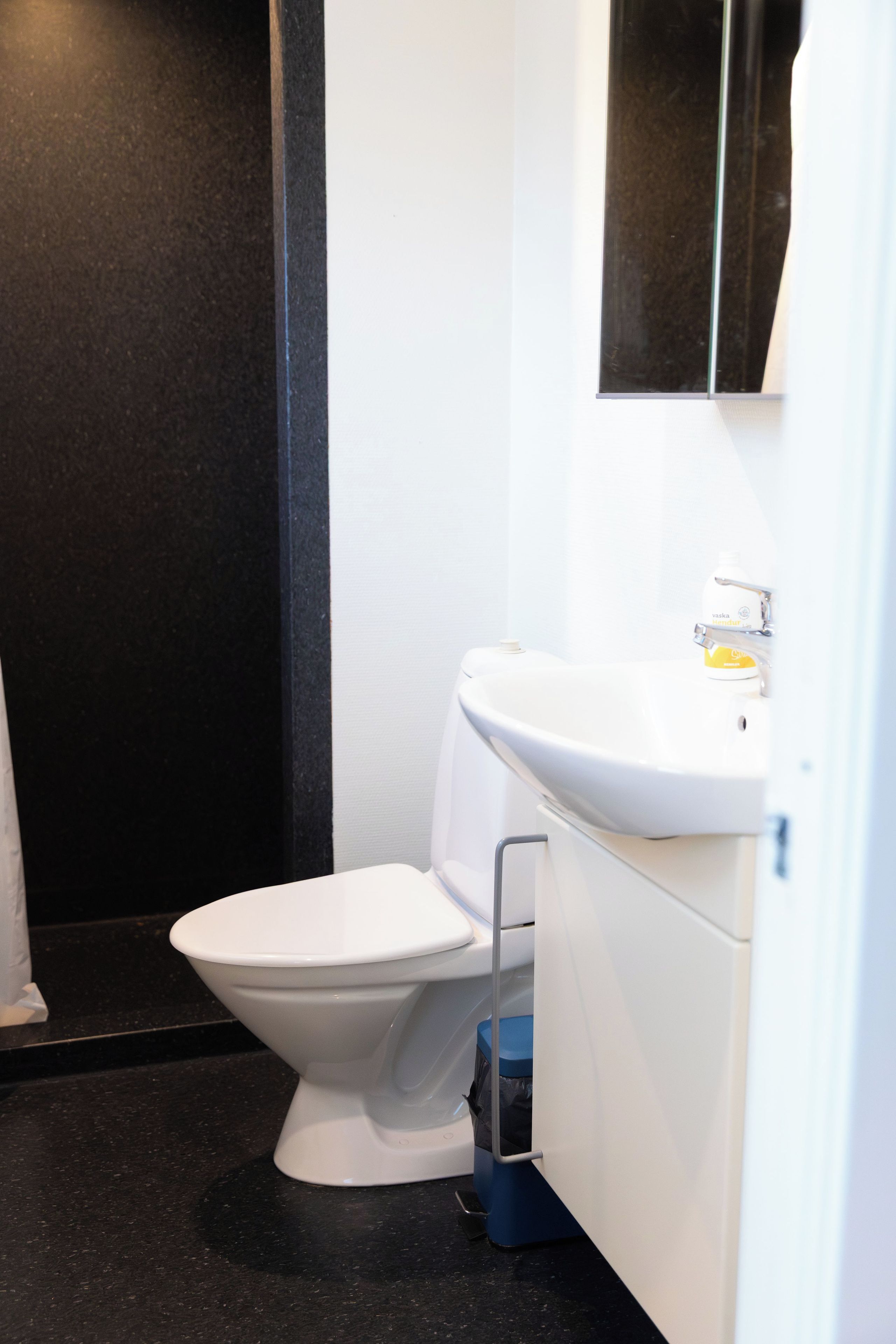 Des toilettes blanches dotées d’un siège de bidet bleu, un lavabo blanc avec un miroir au-dessus, et un sol noir.