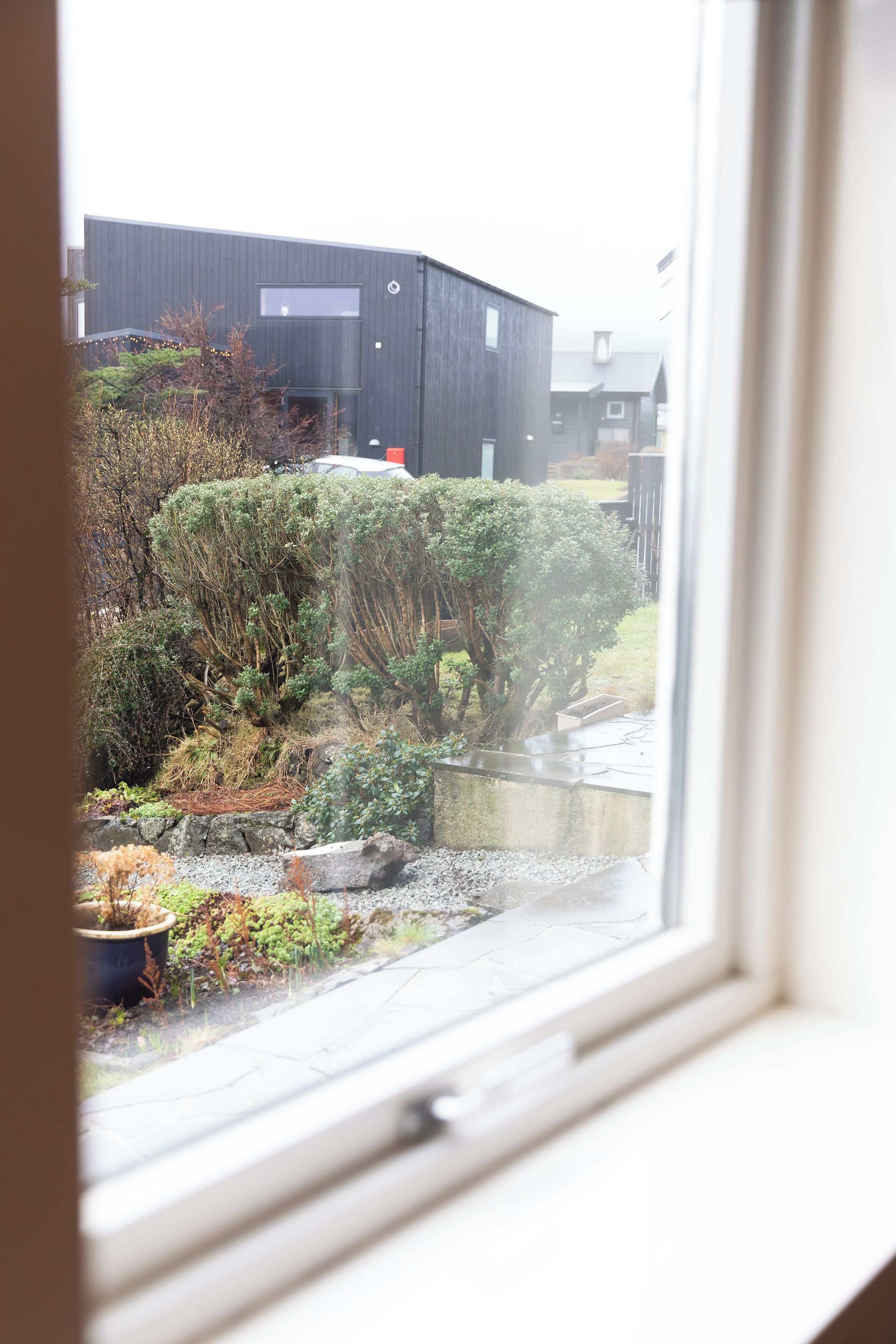 A view through a window of a building with a garden in front, including a variety of plants and a small water feature.