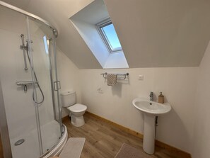 A modern bathroom with a skylight, a glass shower enclosure, a toilet, and a pedestal sink.