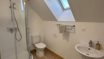 Een moderne badkamer met dakraam, douche, toilet en wastafel.
