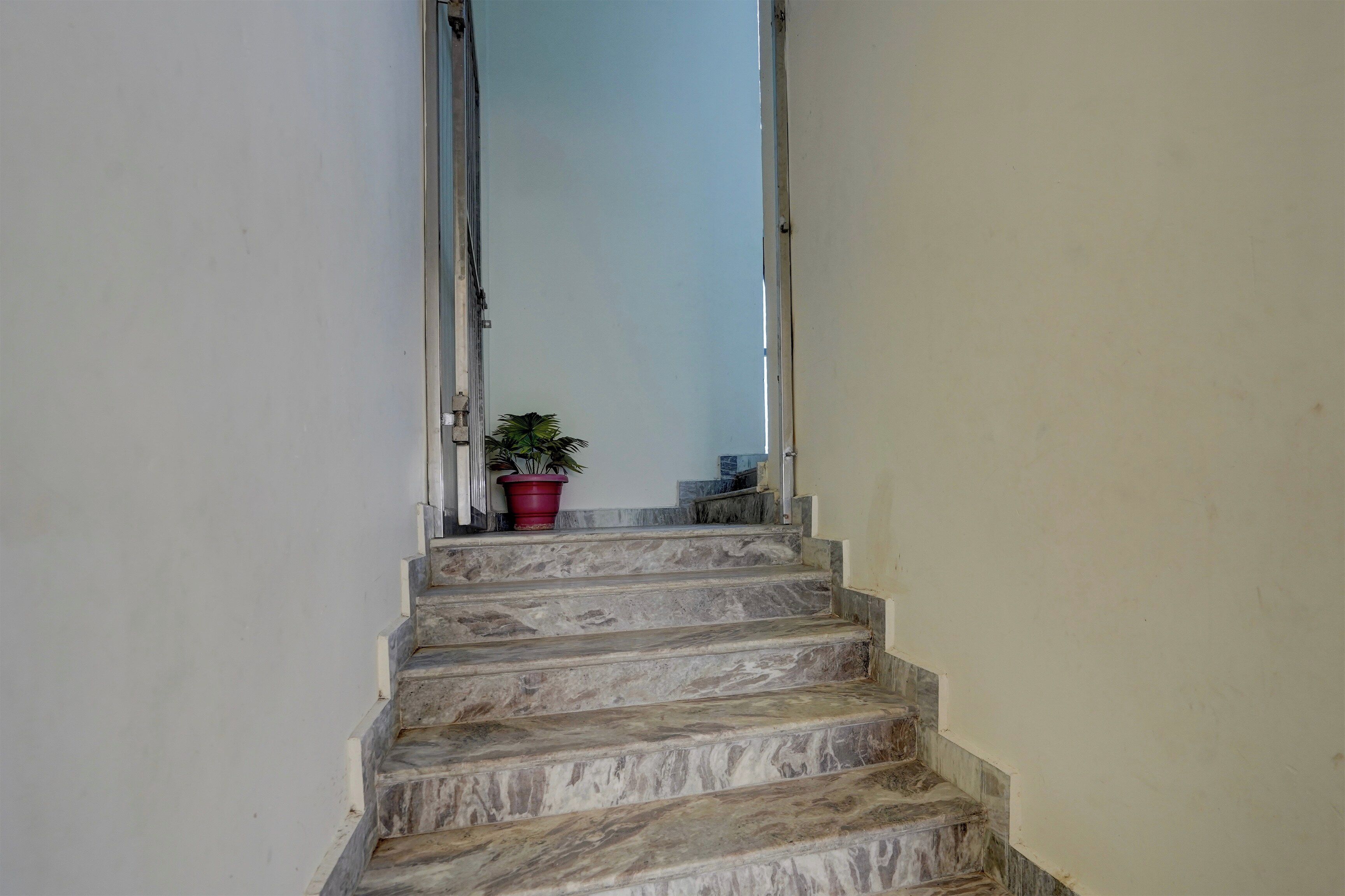 A marble staircase leading to a landing with a potted plant.