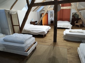 A cozy attic bedroom with three beds, wooden beams, and a skylight. - New Listing (Le Gault-du-Perche)