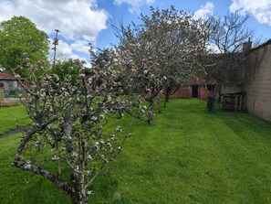 Un jardí amb arbres florides i una paret de maó.