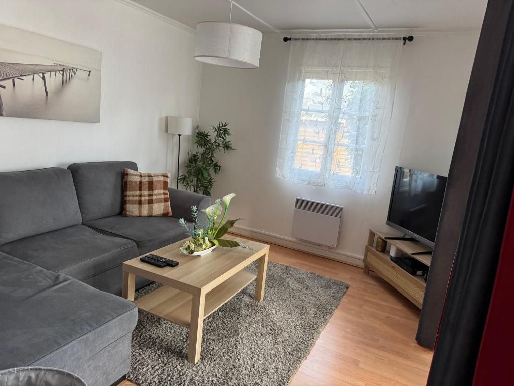 A modern living room with a grey sofa, a wooden coffee table, a TV on a wooden stand, a large window with sheer curtains, and a plant on the table.