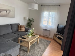 A modern living room with a grey sofa, a wooden coffee table, a TV on a wooden stand, a large window with sheer curtains, and a plant on the table.