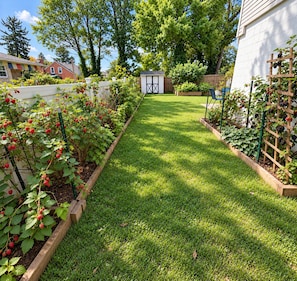 Ein gepflegter Garten mit einem deutlichen Weg, erhöhten Holzbettbeeten und einem kleinen Schuppen.