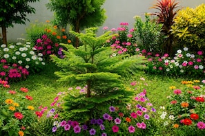 Un jardín con diversas flores y un pequeño árbol de coníferas.