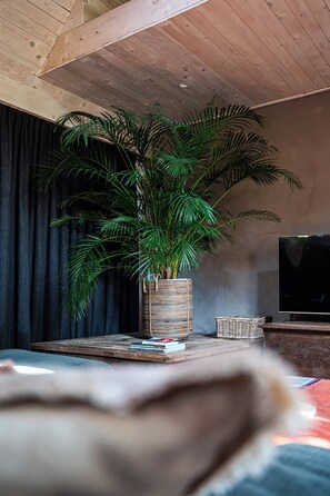 A room with a large potted plant, a television, and a bed. - Fleur de Jasmin | A Unique Wellness Retreat near Ghent (Sint-Martens-Latem)