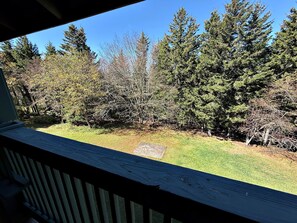 Blick von einem Balkon auf eine begrünte Fläche mit Bäumen und einer Holzterrasse.