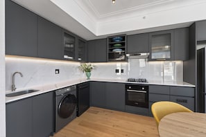 A modern kitchen with grey cabinets, a dishwasher, an oven, and a sink. - 2-bedroom Penthouse in the Waterkant Cape Town (Cape Town)