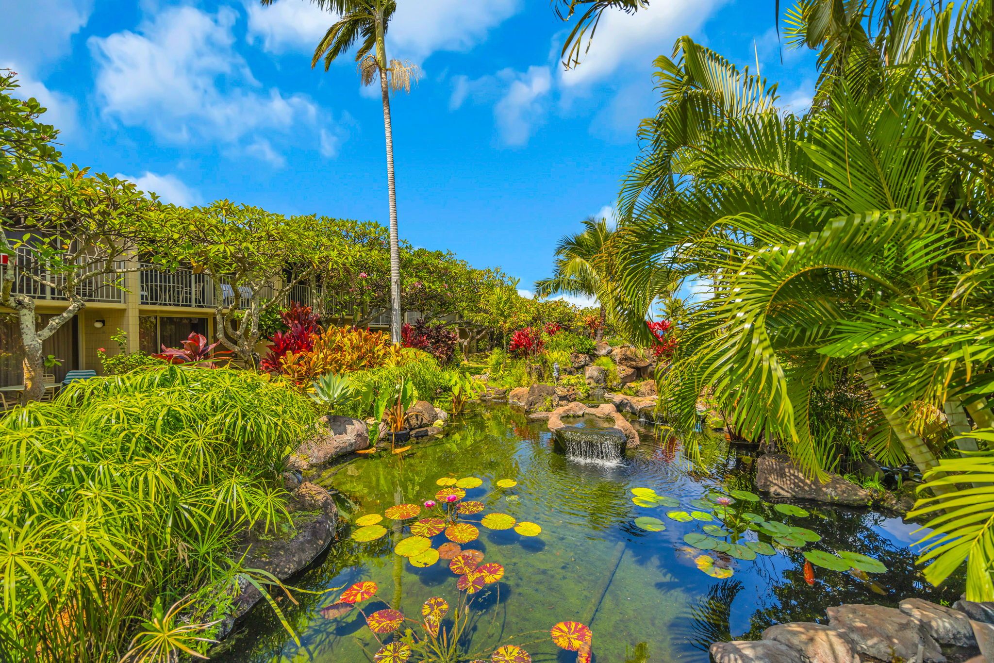 Un jardin tropical avec un étang, une végétation luxuriante et un ciel d’un bleu éclatant.