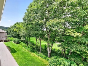 A residential property with a well-maintained lawn, mature trees, and a visible house. - Blue Ridge Mountain Retreat Overlooking the 18th Hole (Wintergreen Resort)