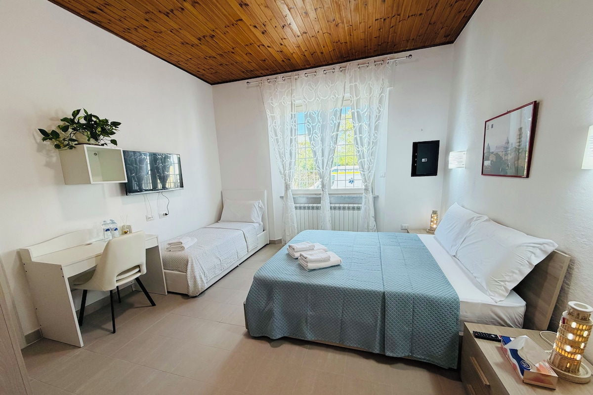 Habitación de hotel con cama, escritorio, silla, televisor, ventana con cortinas y mesita de noche con lámpara.